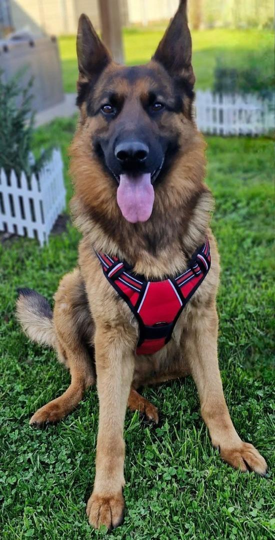 Department of Eternal Operations | Custom Artwork Commission (Digital File Only)